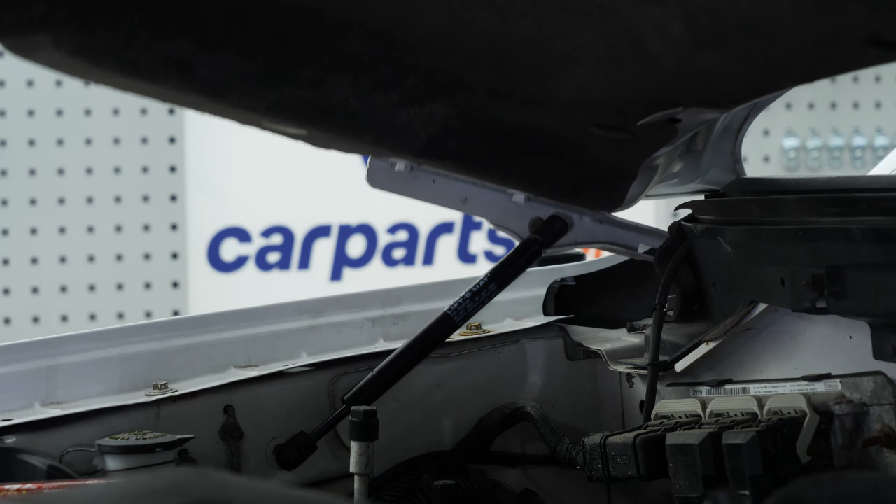 Install the new hood lift support