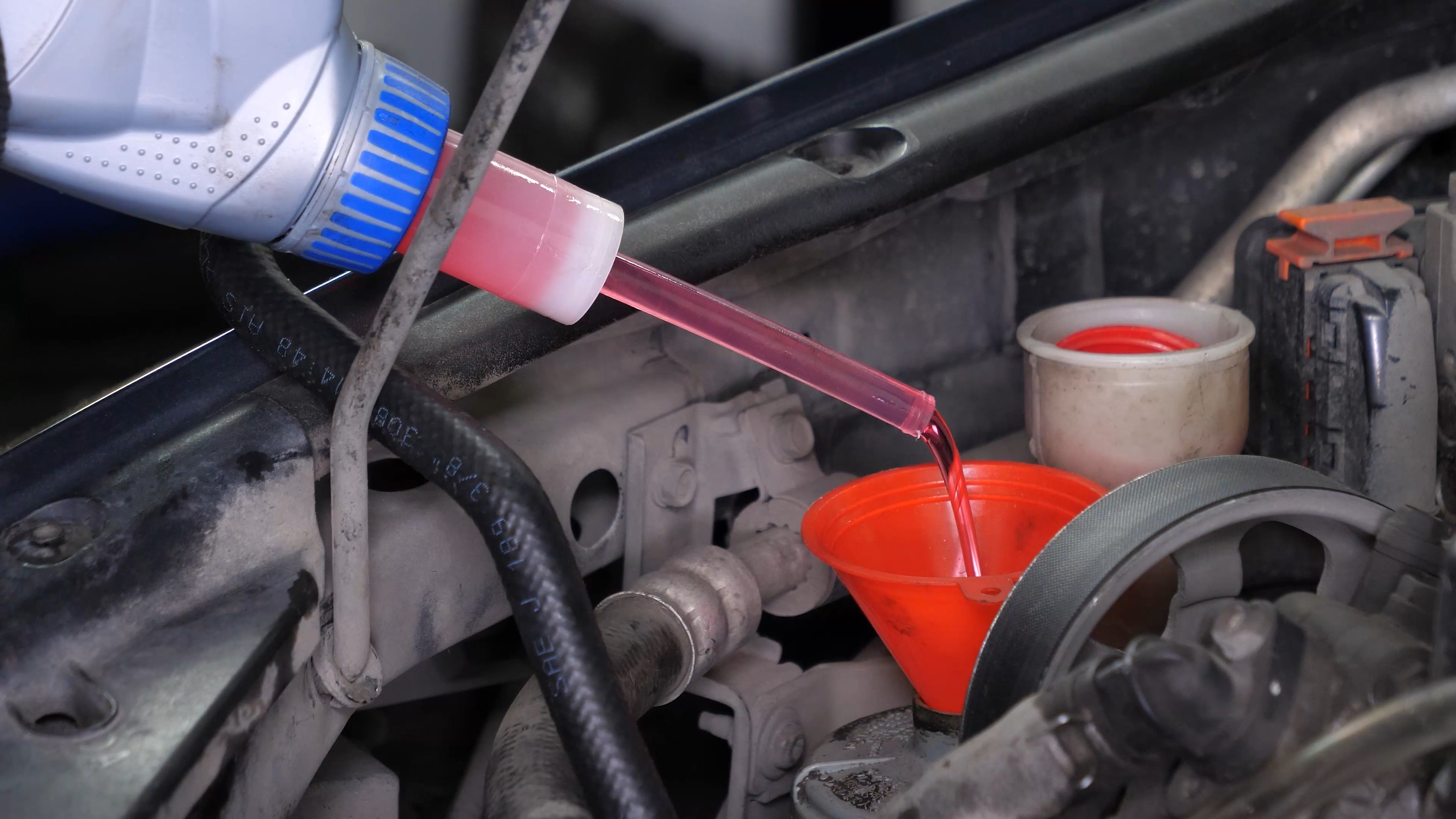 Power steering fluid