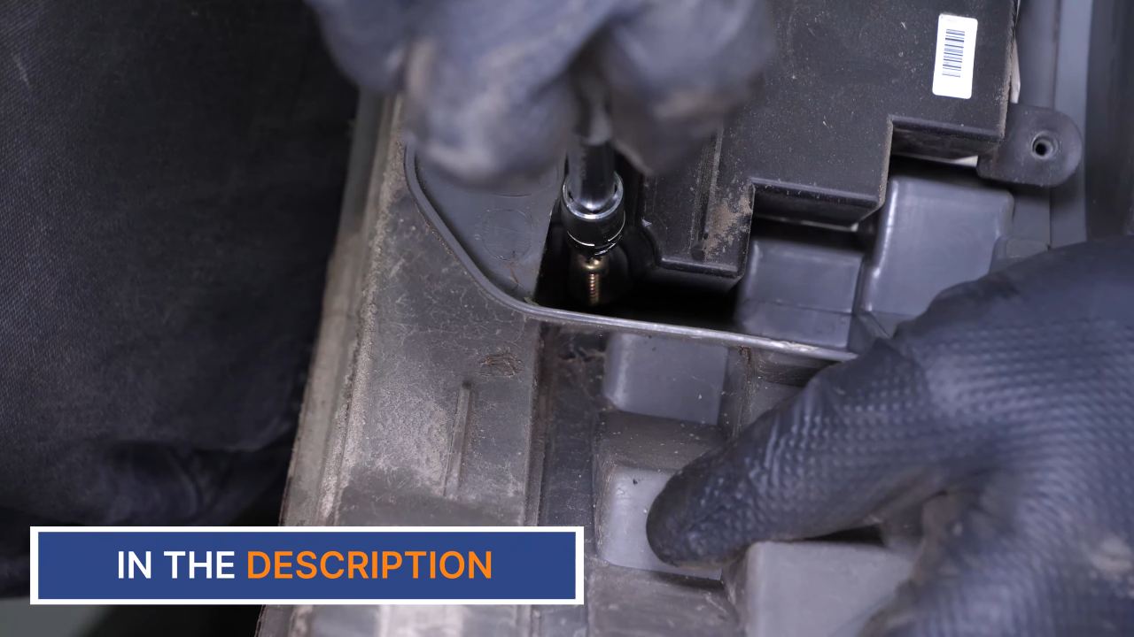 Disconnect the tail light