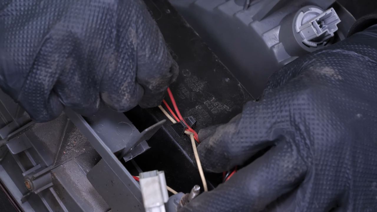 Disconnect the tail light