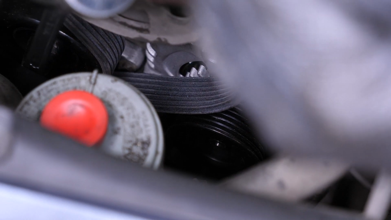 Put the serpentine belt back  