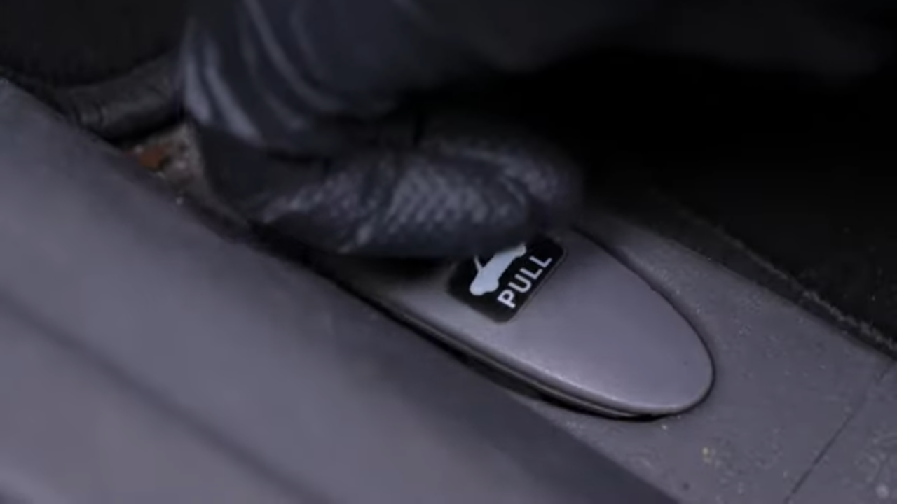 Disconnect the tail light