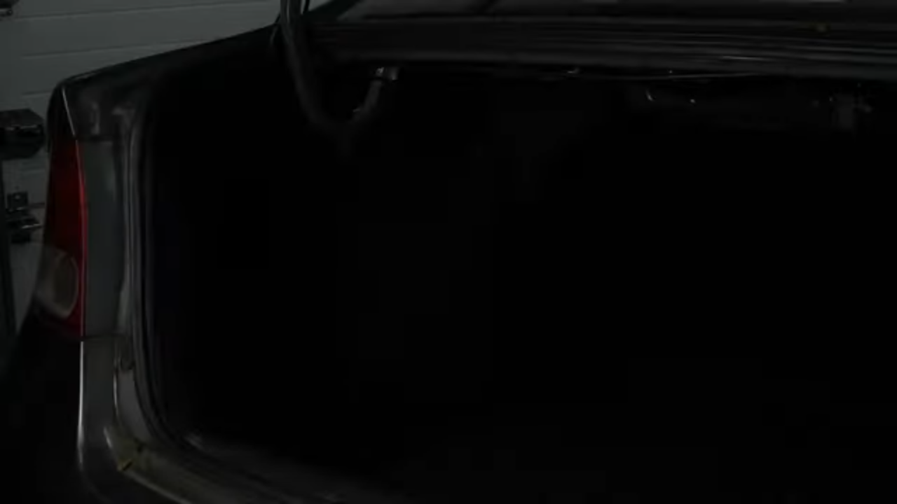 Disconnect the tail light