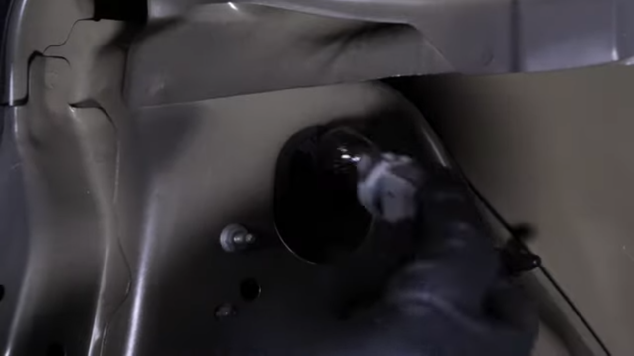 Disconnect the tail light