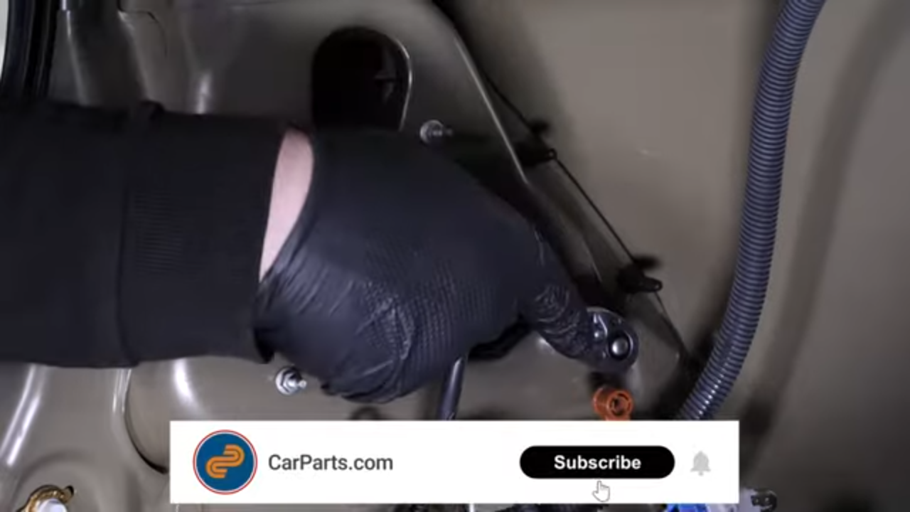 Disconnect the tail light