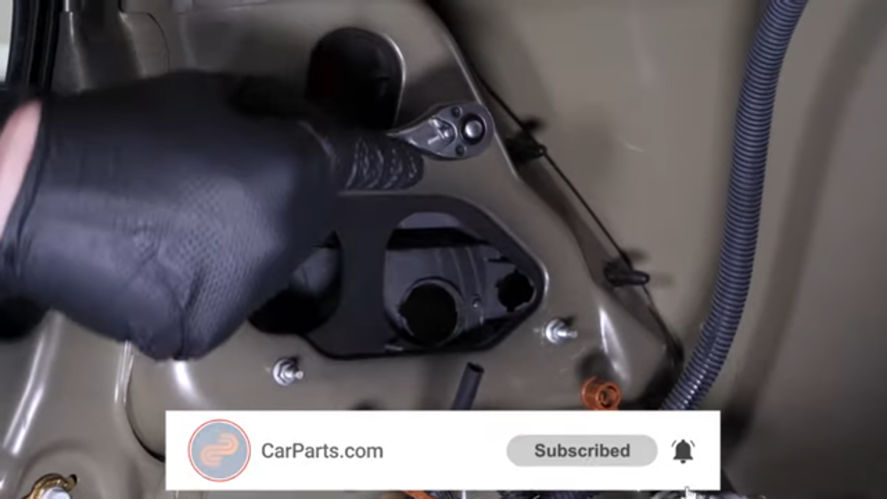 Disconnect the tail light