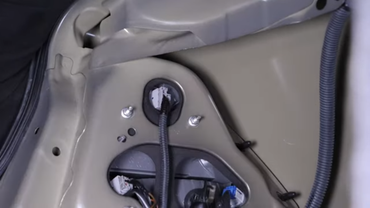 Reconnect the tail light back
