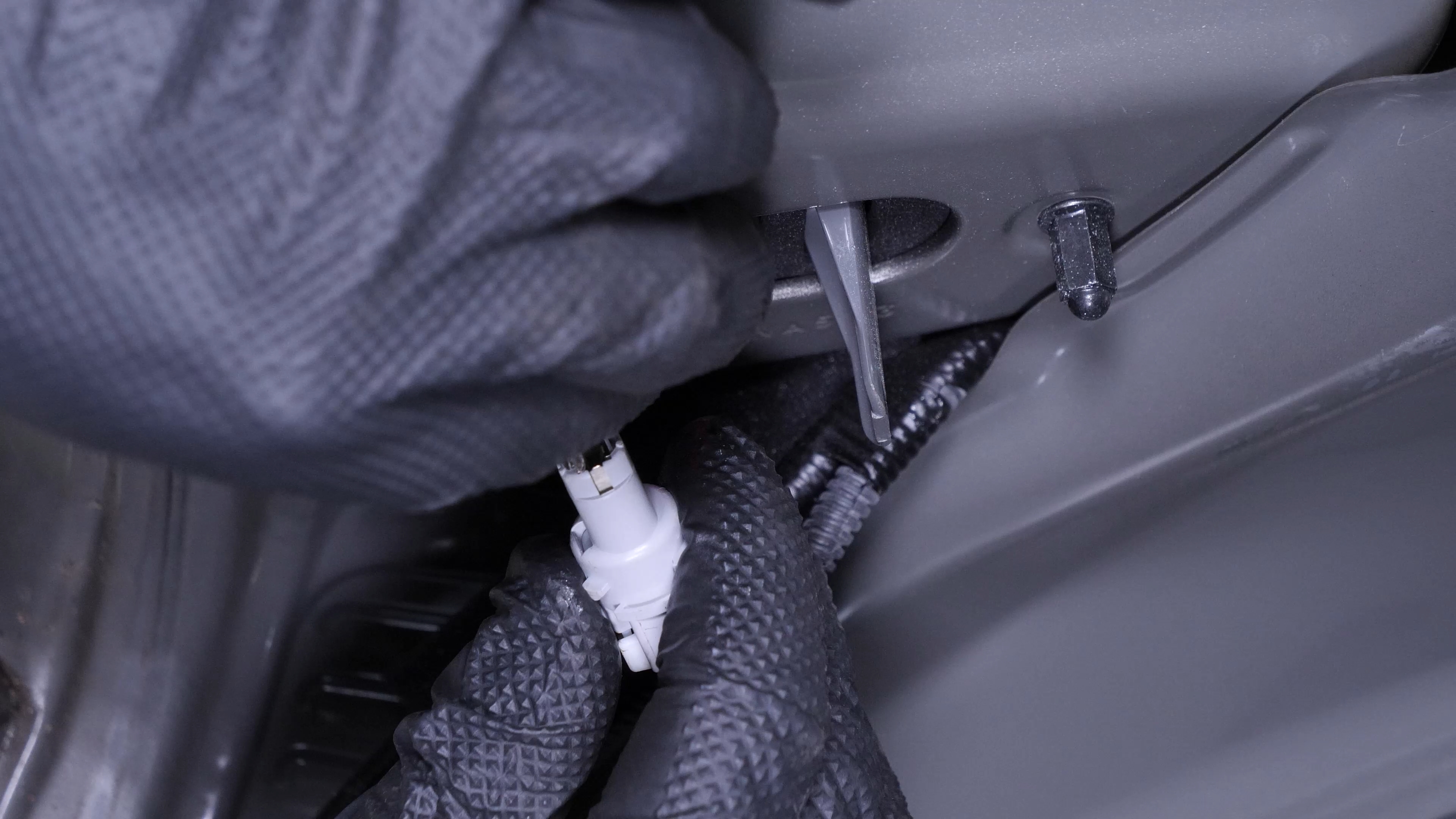 Replace the tail light bulbs