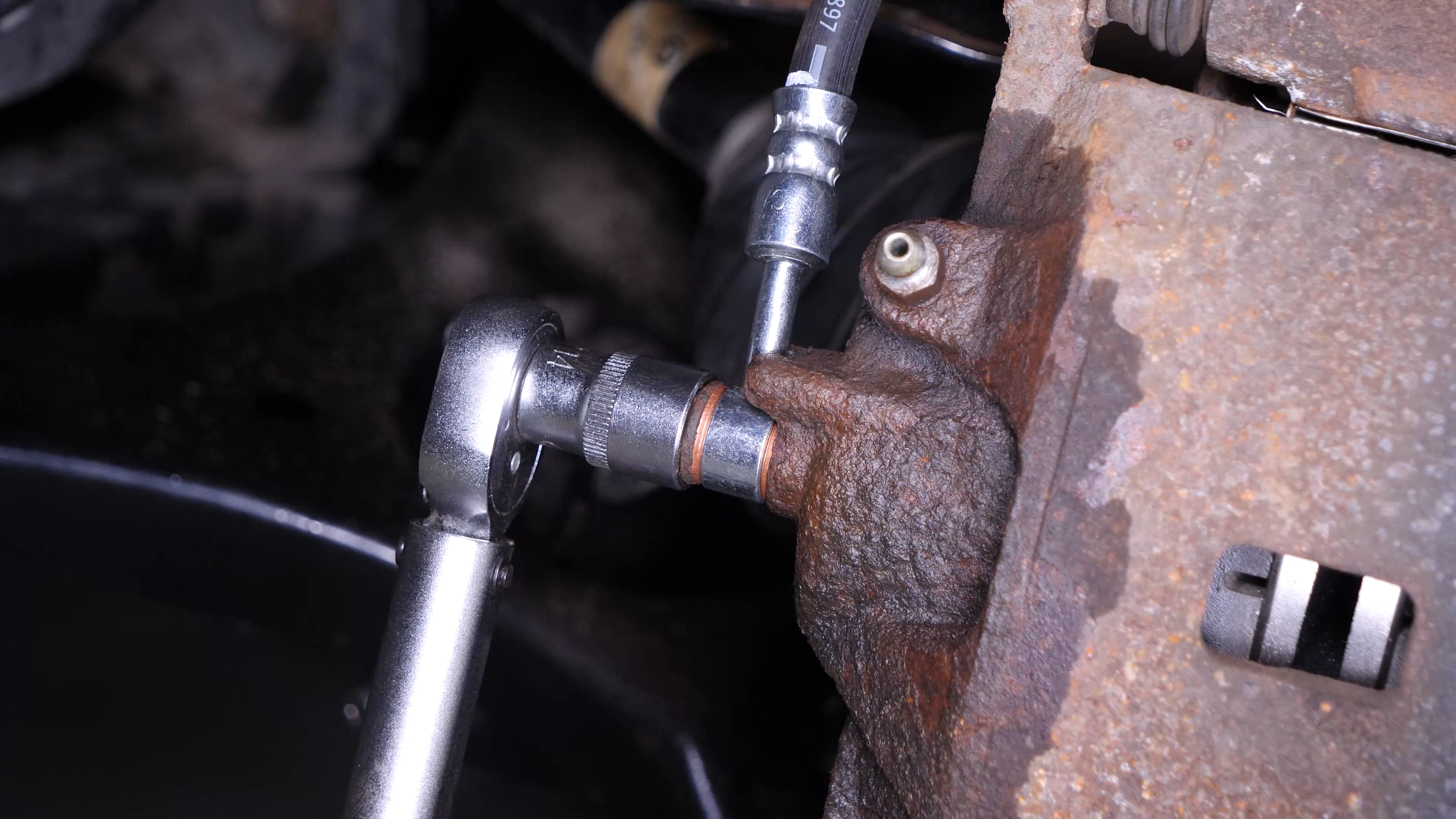 Screw the brake hose back on the caliper