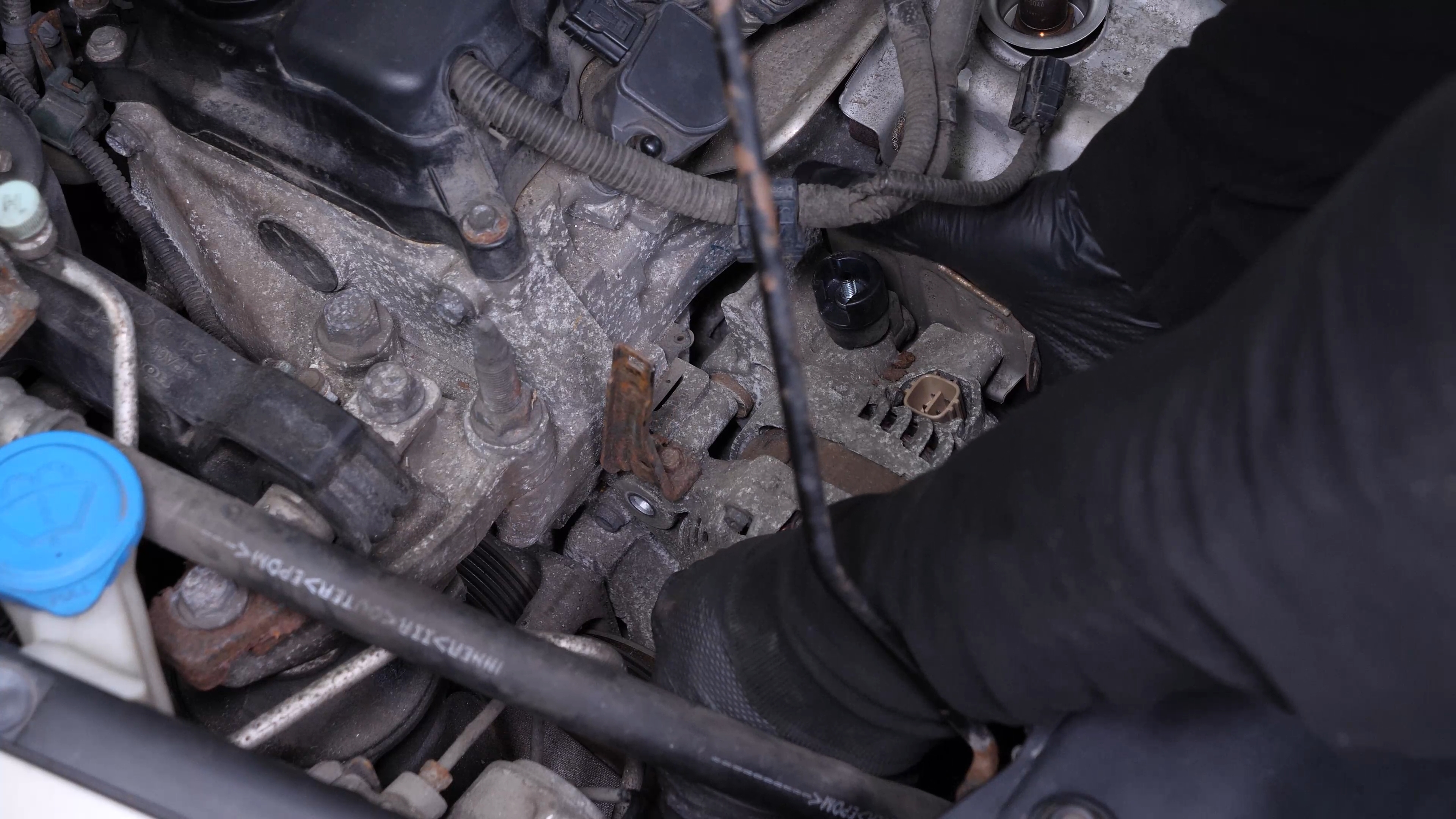 Remove the alternator