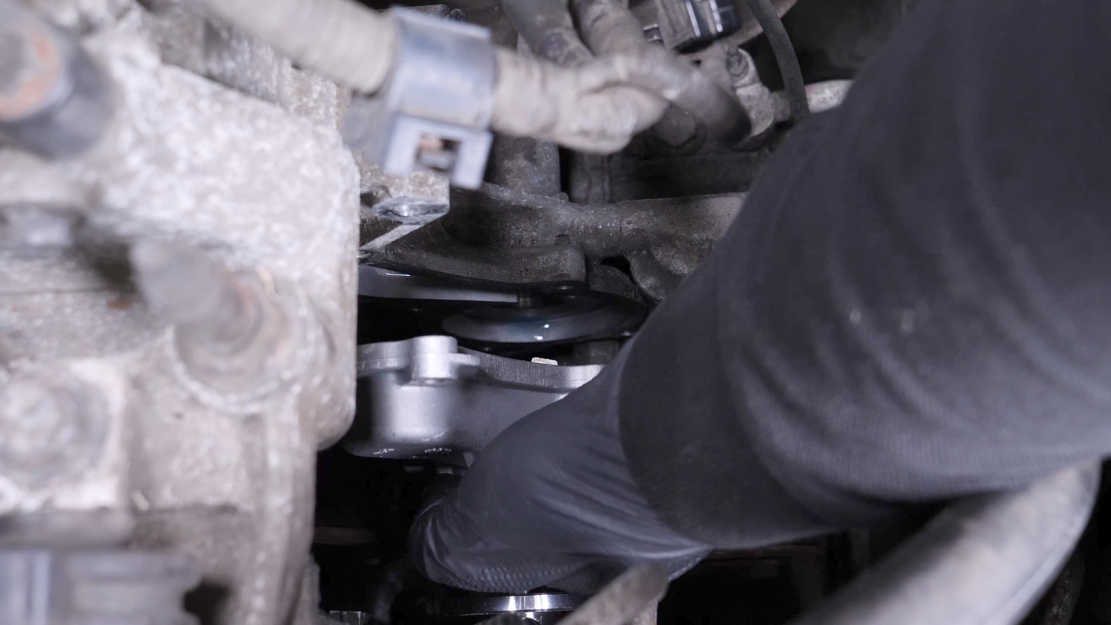 Install the new water pump