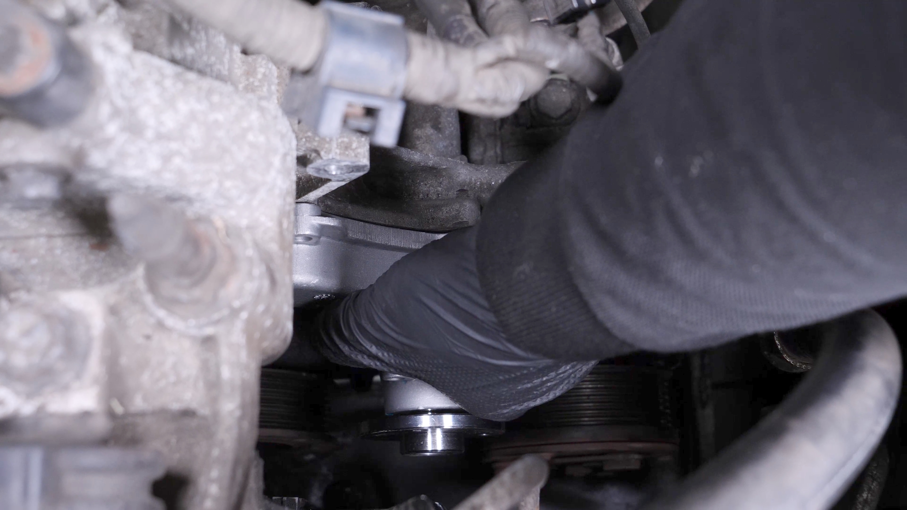 Install the new water pump
