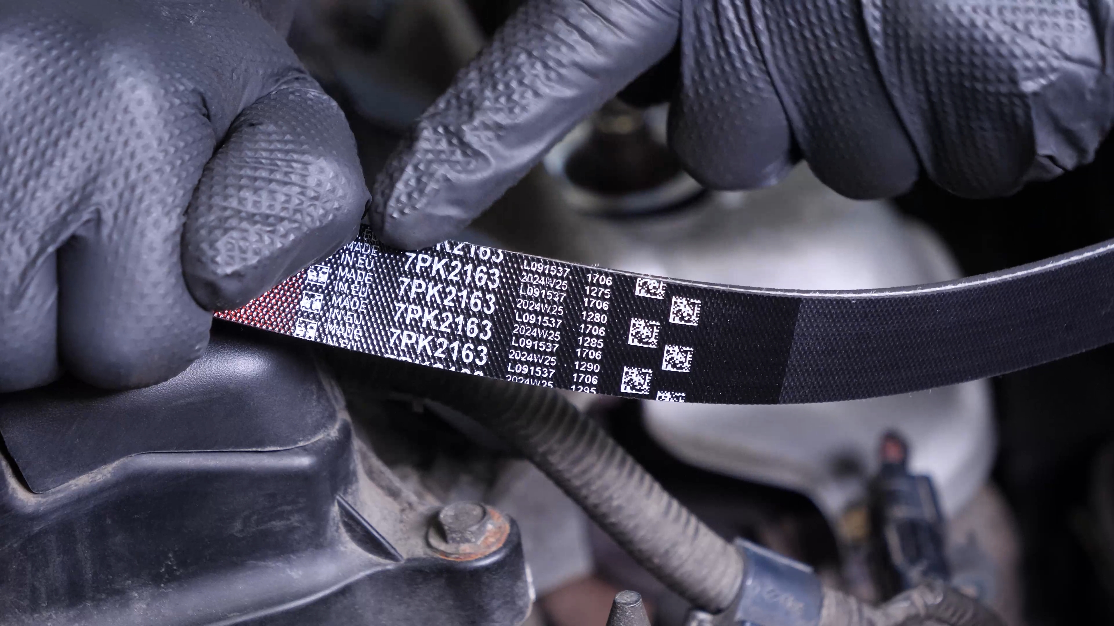 Put the serpentine belt back  