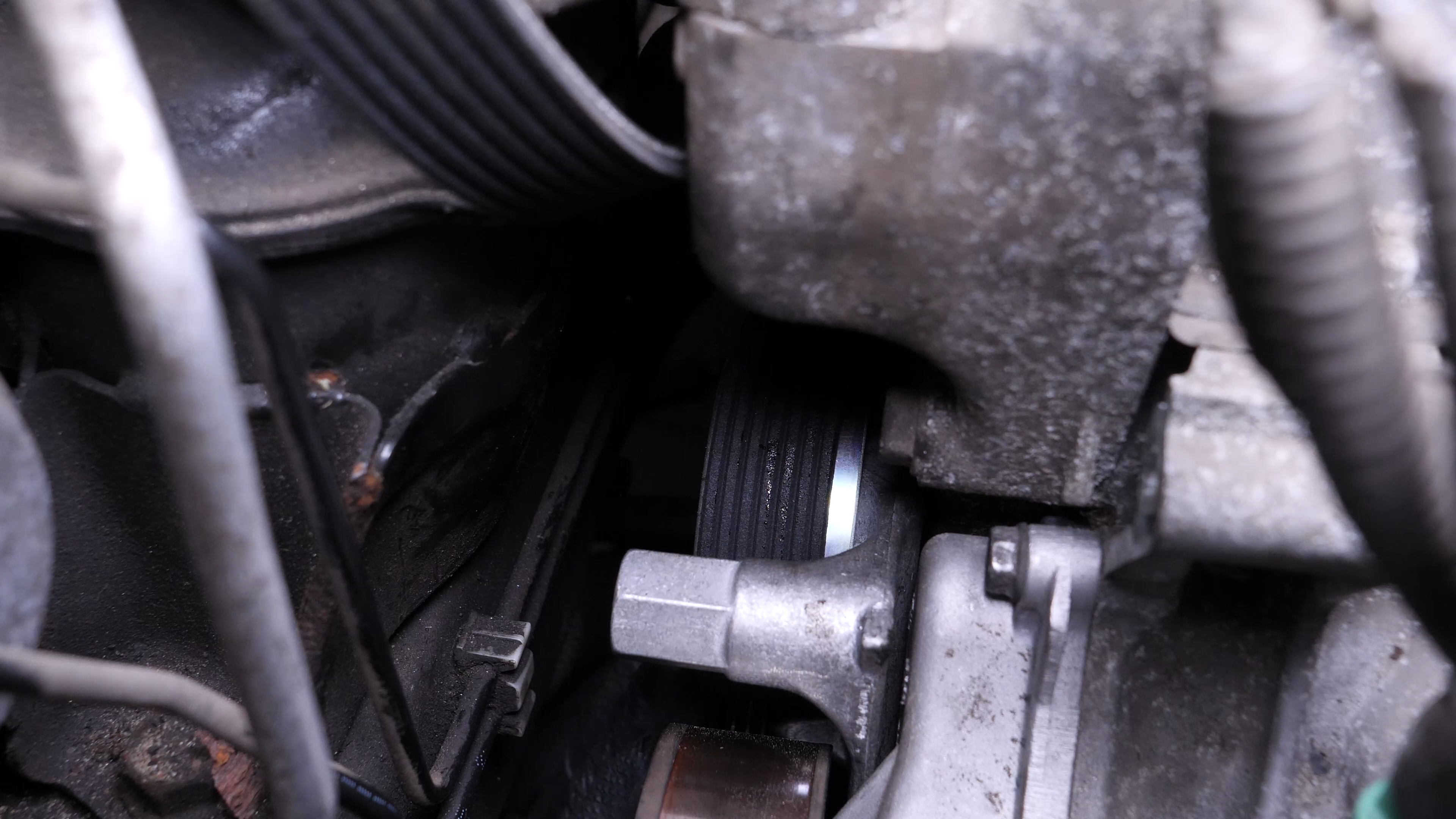 Put the serpentine belt back  