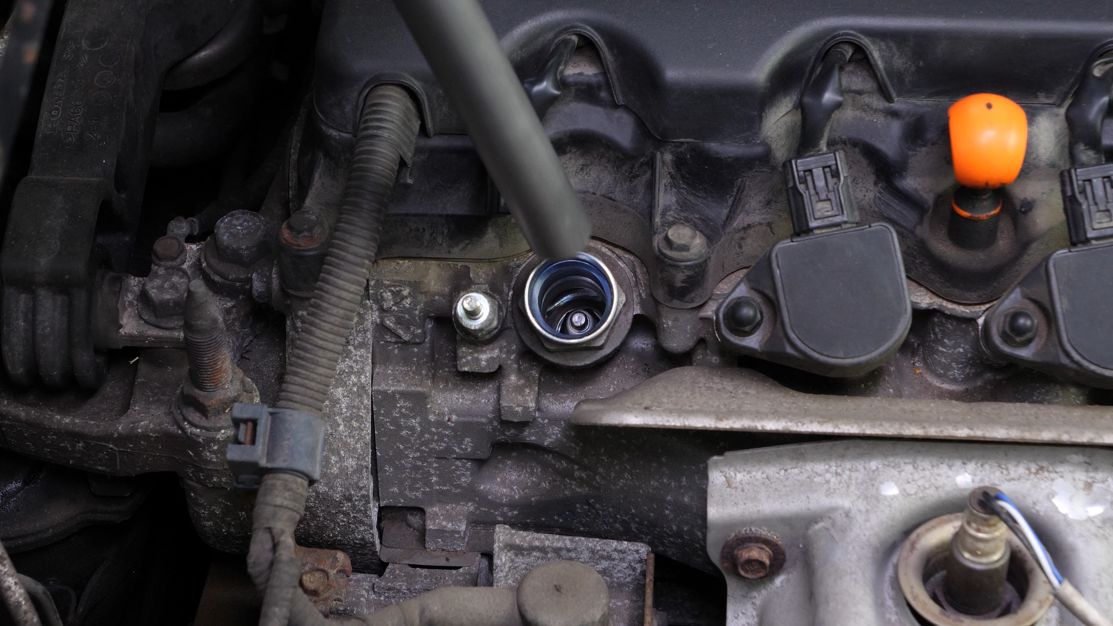 Remove the spark plugs