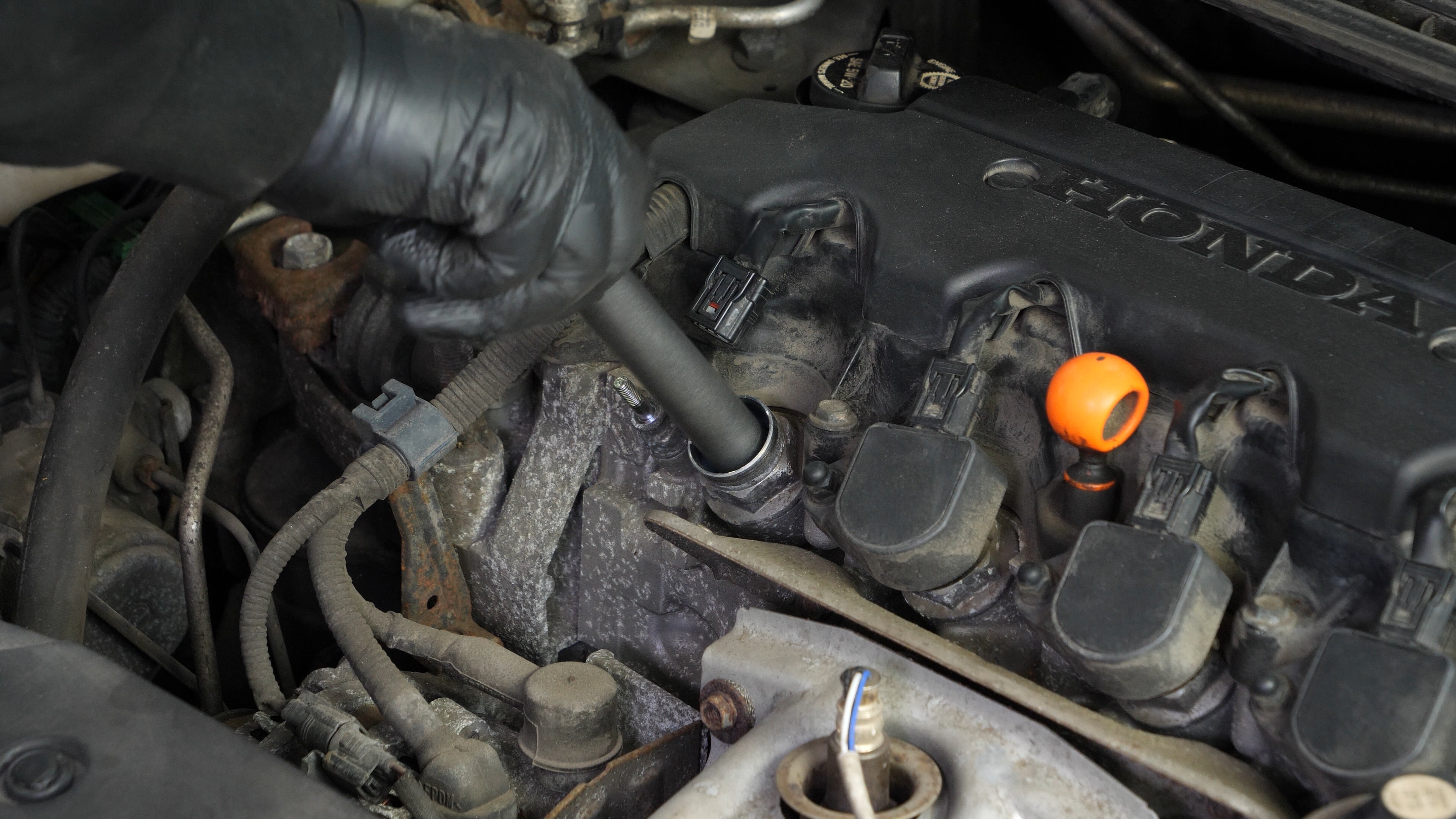 Install the new spark plugs