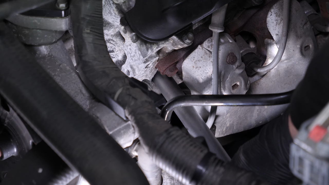 Remove the spark plugs