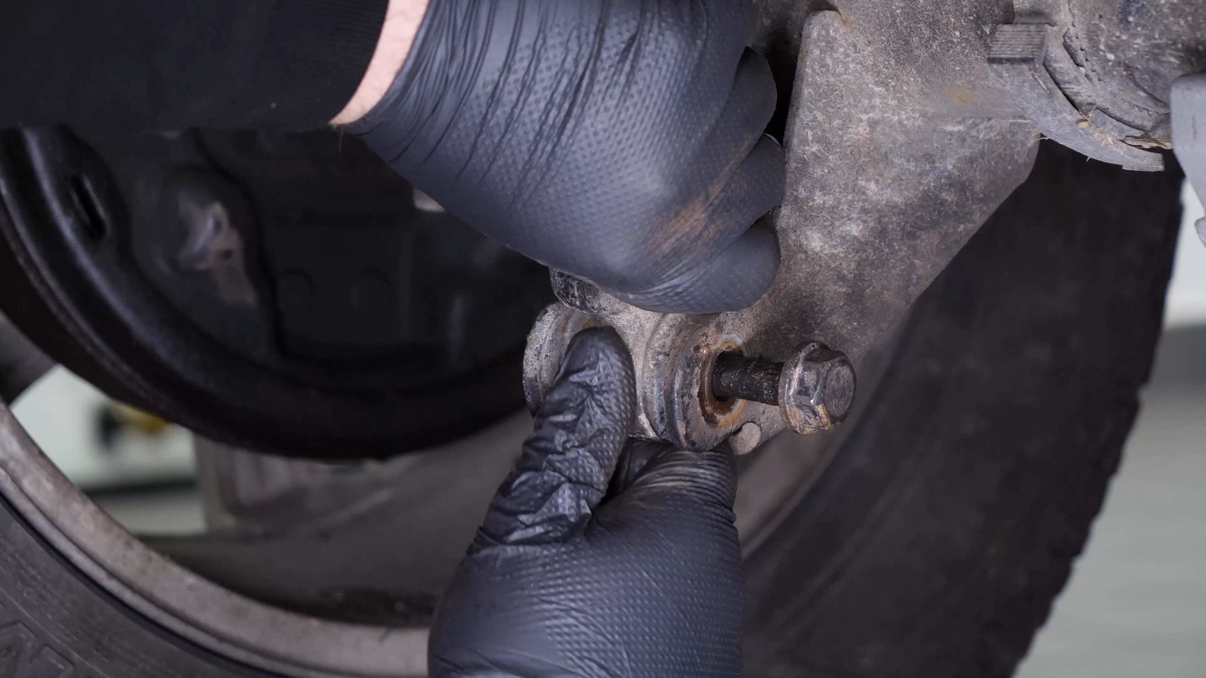 Remove the shock absorber