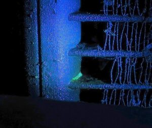What Does a Freon (Refrigerant) Leak Look Like in a Car? - In The