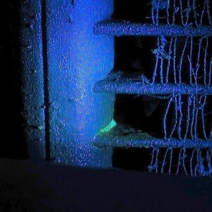 car freon