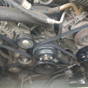 serpentine belt location