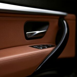 car interior door handle