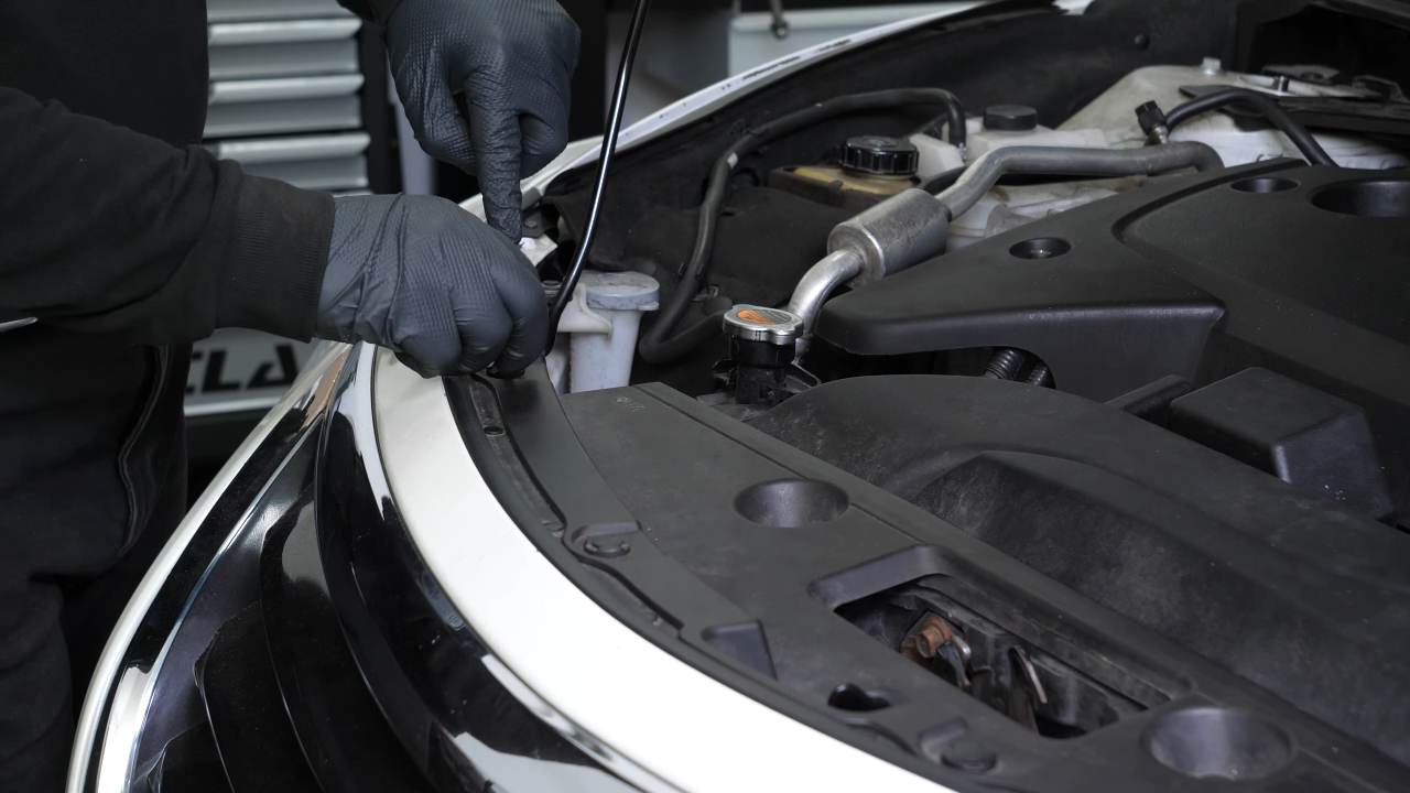 Remove the radiator support cover