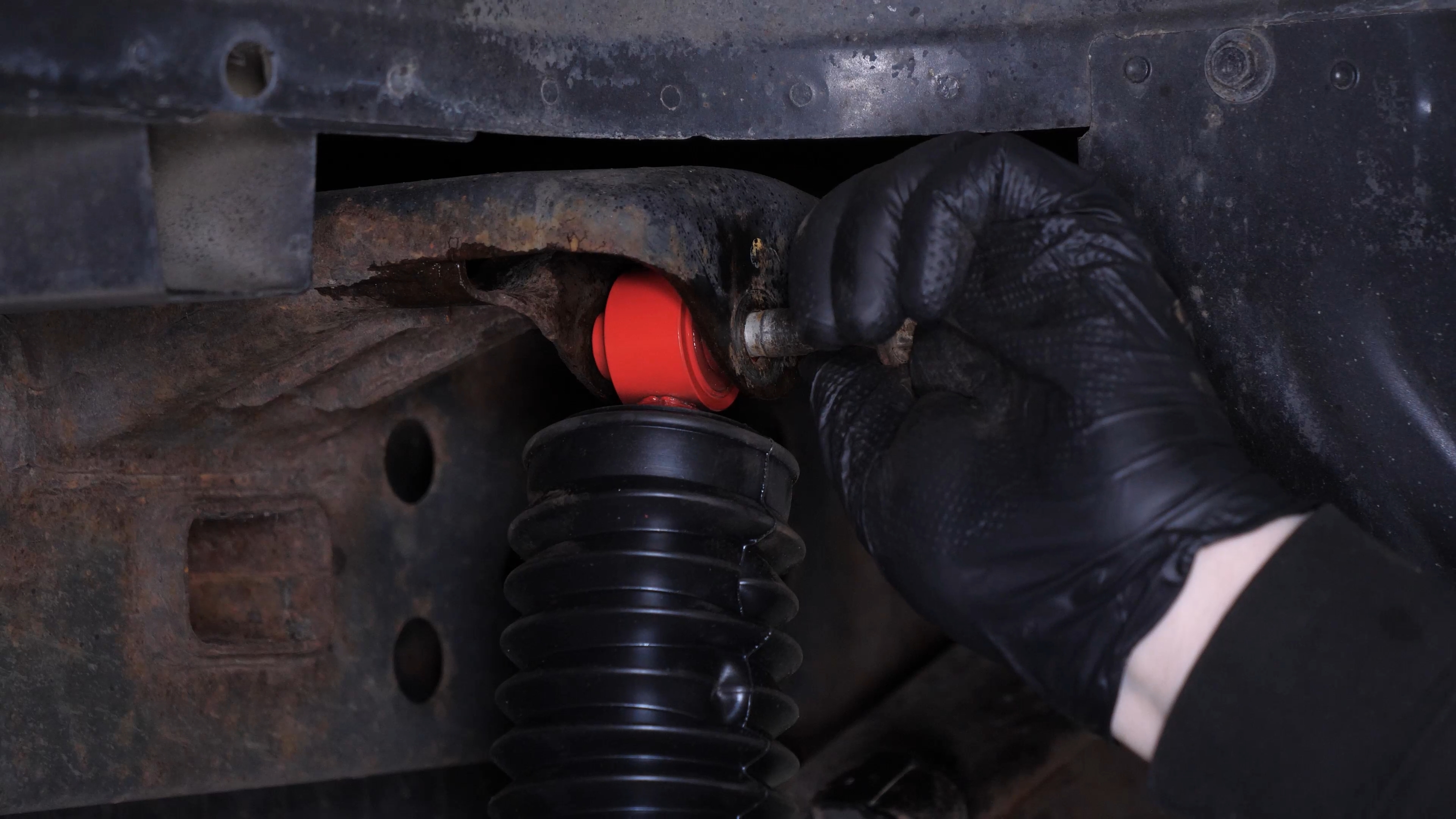 Install the new shock