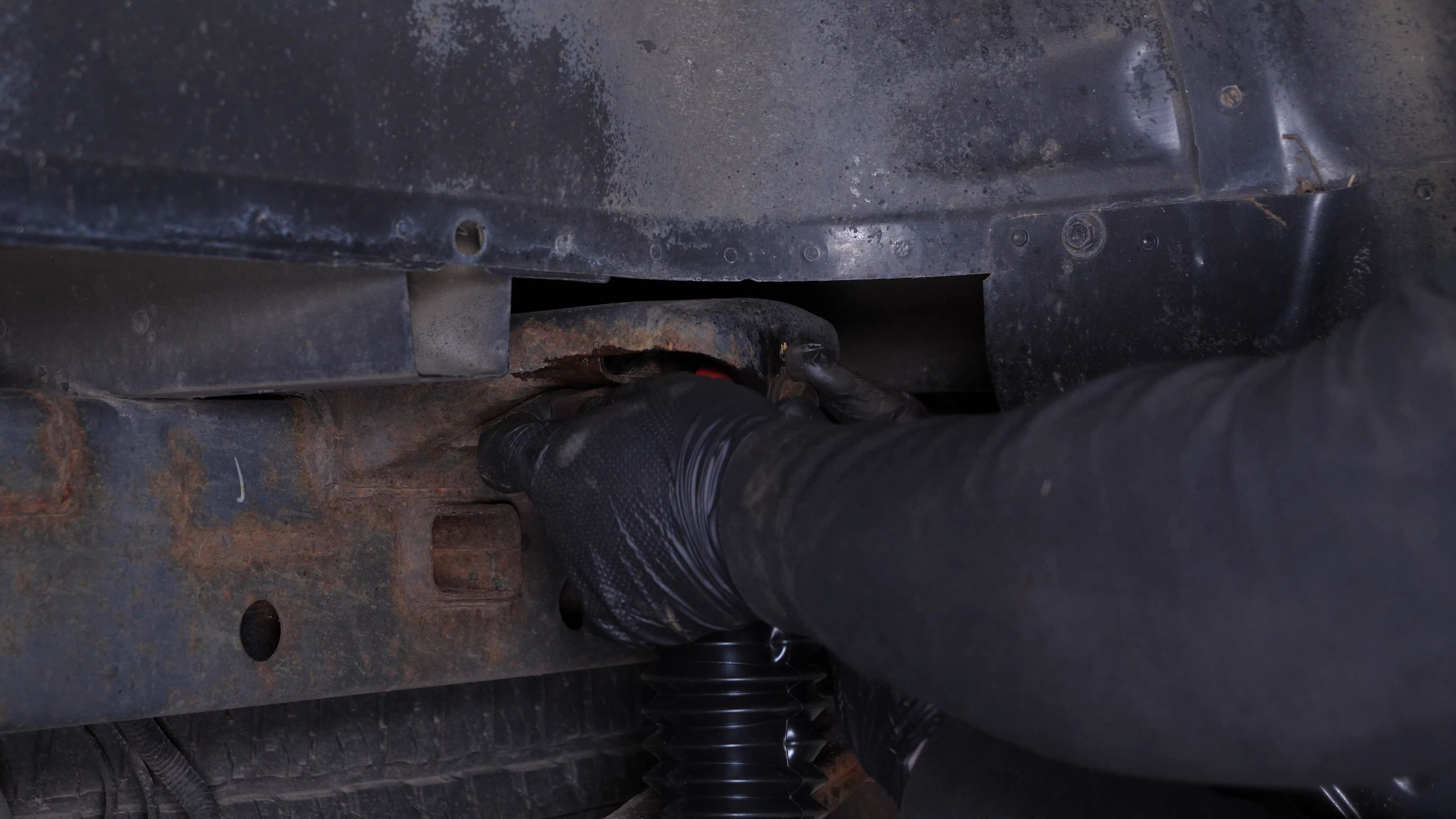 Install the new shock