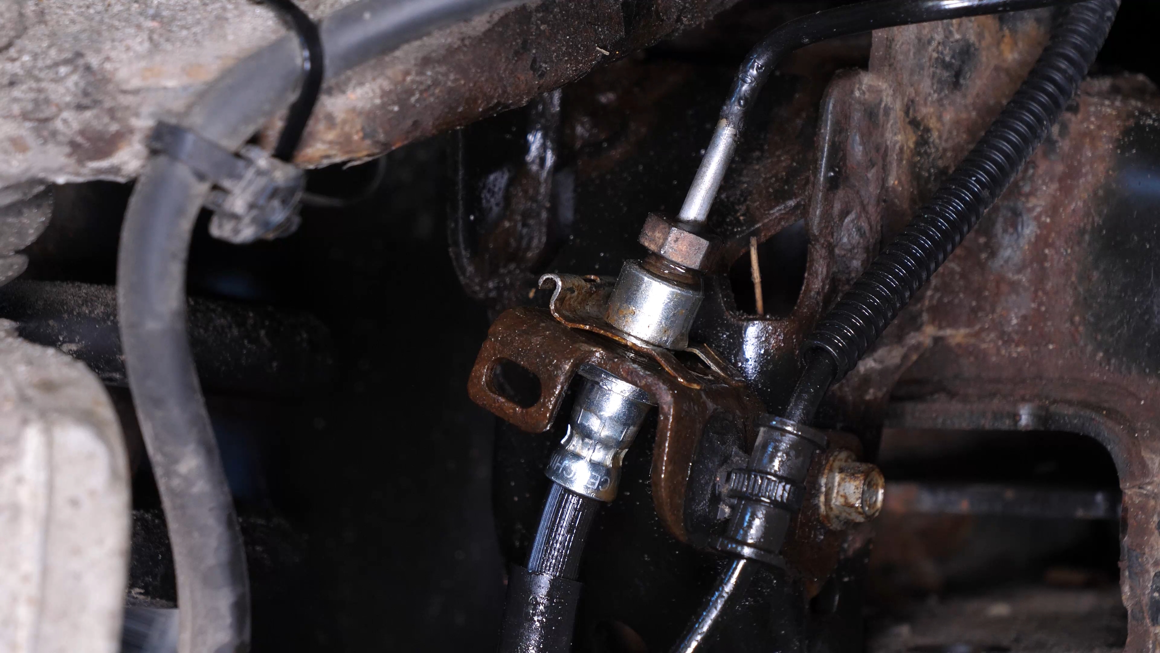 Install the new brake hose