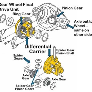 rear differential diagram