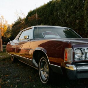 chrome fender trim