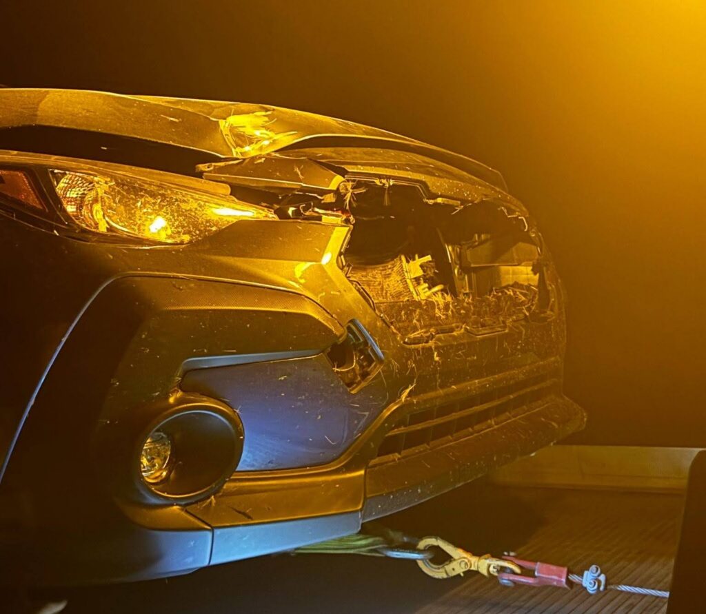 front end animal collision damage