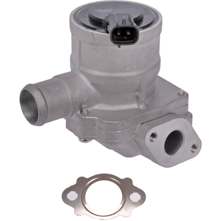Dorman air inject check valve