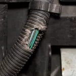 car rodents during winter