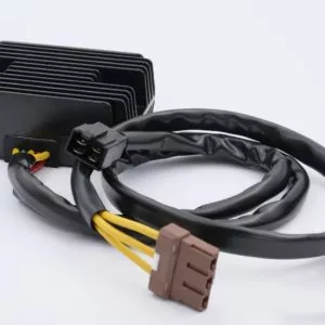 engine control module for petrol engine