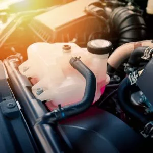 closeup of pink coolant and car engine