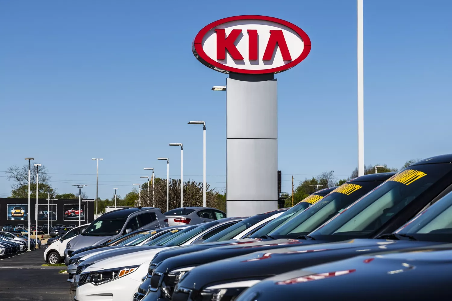 kia cars in parking lot