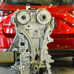 Chain camshaft actuator in engine