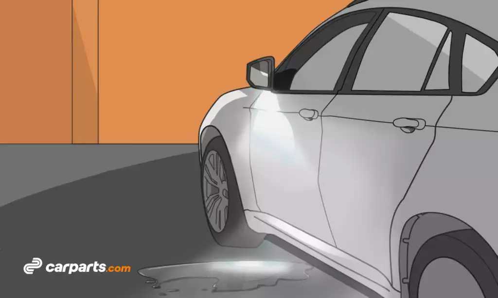 puddle light of a car driver side