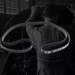 serpentine belt of car