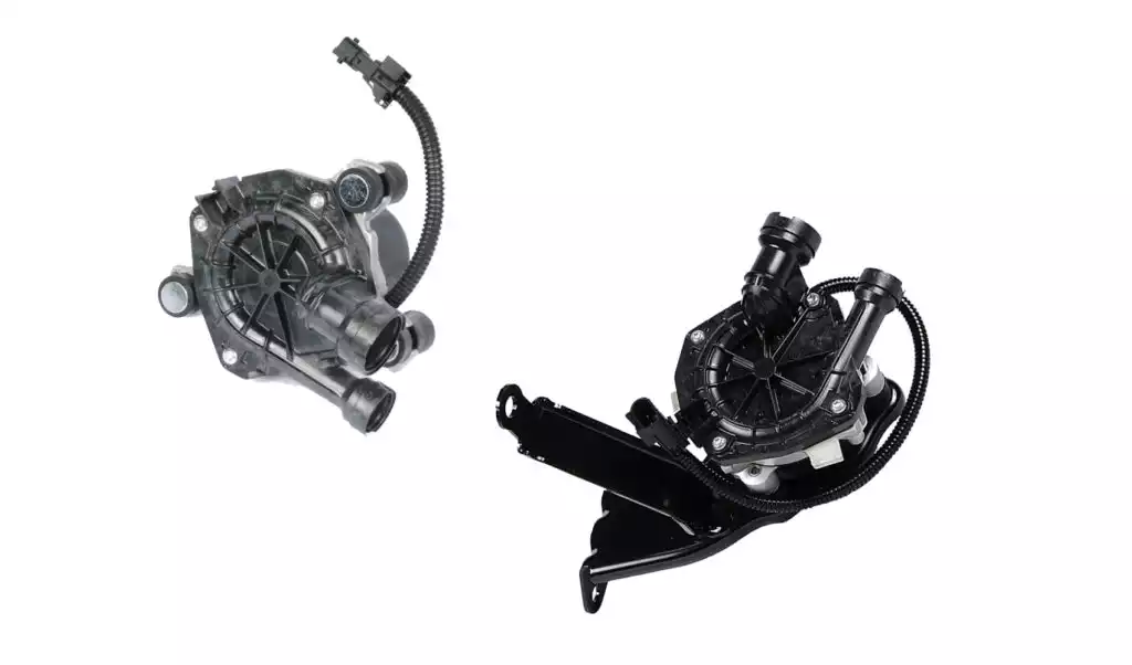 car sai pumps in white background