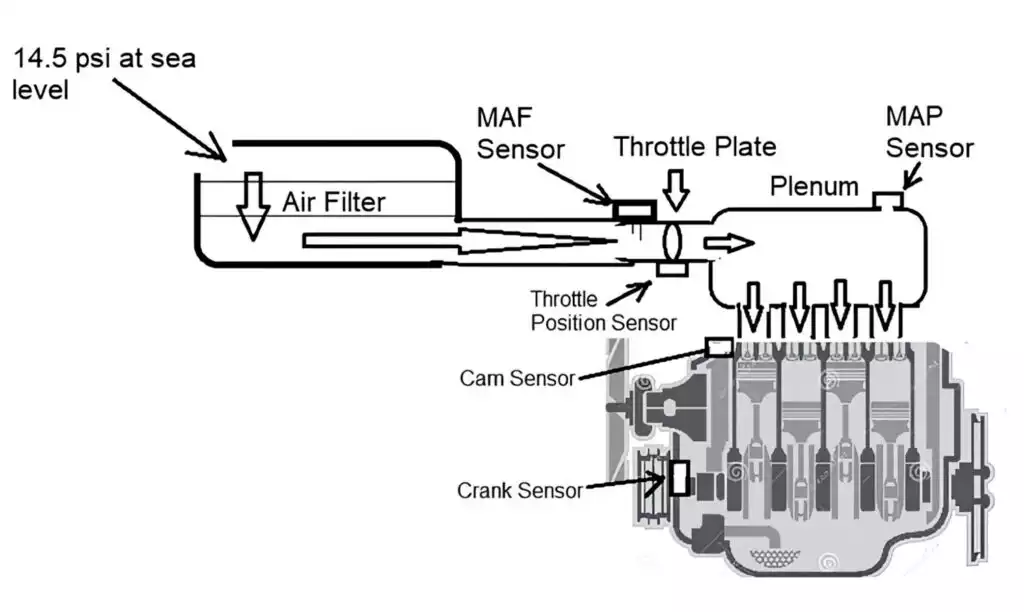 car fuel delivery diagram showing the maf and map sensors
