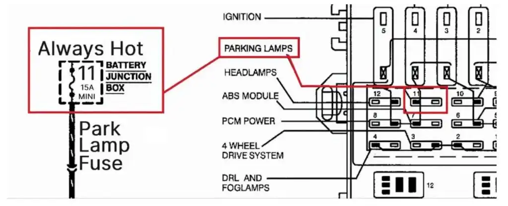 diagram showing a tail light fuse's position