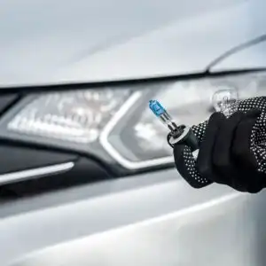 bulb of a headlight assembly