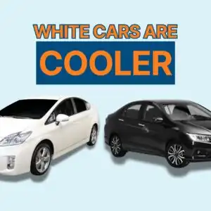 white vs black car comparison thumbnail