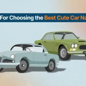 best car names thumbnail