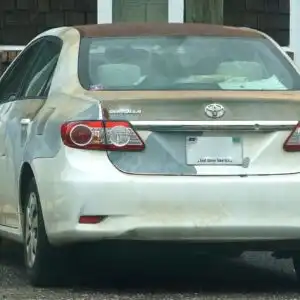 car acid rain damage