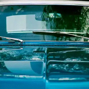 windshield (2)